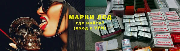 гашик Михайловск