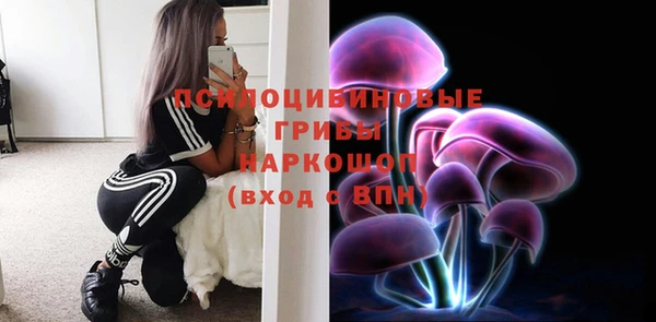 мяу мяу мука Михайловка
