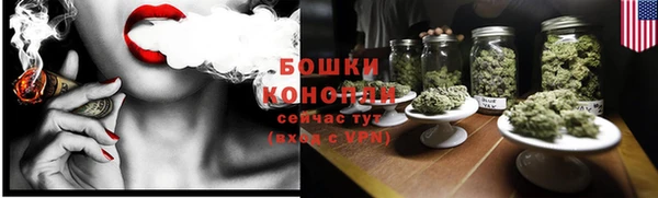гашик Михайловск