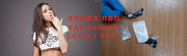 гашик Михайловск
