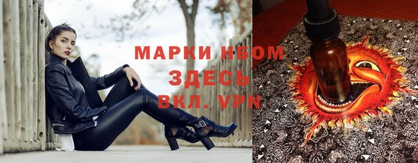 гашик Михайловск