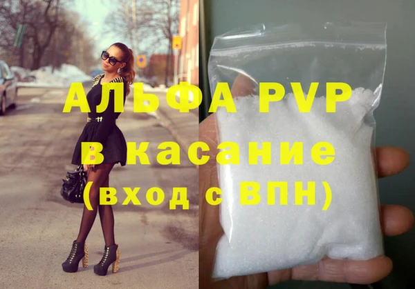 гашик Михайловск